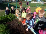 Sklízíme úrodu na zahrádce